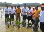 Ada Festival Pohon Cinta di Gorontalo