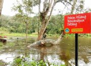 Rusak Pasca Gempa, Danau Tambing Ditutup untuk Umum