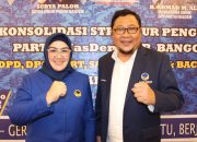 Tahmidy  Lasahido: NasDem Harus Menang di Sulteng