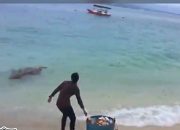 Video Warga Buang Sampah di Laut Donggala bikin Menteri Susi Geram