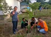 Penuhi Tingginya Permintaan Pasar Akan Buah Naga, Ini Yang Dilakukan Petani Nasdem Sulteng