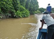 Seorang IRT Hilang, Diduga Disantap Buaya di Sungai Desa Buga