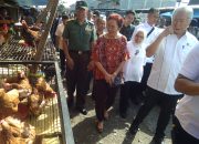 Mendag Soroti Tingginya Harga Telur Ayam