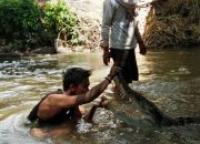 Serang Ternak Warga, Seekor Buaya Ditangkap Warga Desa Dongko Tolitoli