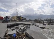 Celebes Institute Dorong Gerakan Tanam Bakau di Pesisir Teluk Palu