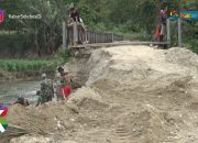 VIDEO: 10 Tahun Rusak, Jembatan Kura-Kura di Sigi Diperbaiki TNI