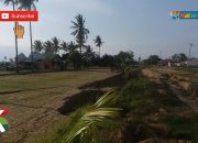 VIDEO: Pascabencana, Terjadi Perubahan Lahan Pertanian di Palu, Sigi dan Donggala