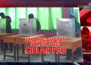 VIDEO: 13 TPS di Lima Kecamatan di Palu Gelar PSU