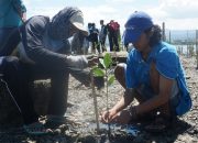 Kurangi Resiko Bencana, JKM Oxfam Tanam 310 Bibit Mangrove di Teluk Palu