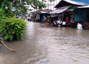 Hujan 4 Jam, Sejumlah Daerah di Palu Digenangi Air