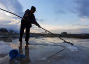 Petani Garam Talise Senang Rencana Pemulihan Tambak