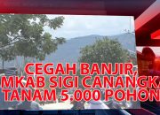 VIDEO : Cegah Banjir, Pemkab Sigi Galakkan Penanaman 5.000 Pohon Per Desa