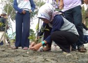 Usai Dilantik, Anggota DPRD Kota Palu Penuhi Nazarnya Tanam 100 Bibit Mangrove