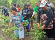 Tinggalkan Pupuk Anorganik, Petani Binaan DSLNG Rasakan Dampak yang Positif