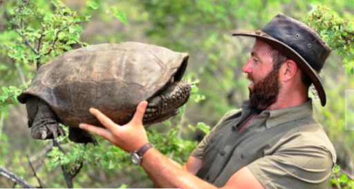 Setelah Matt Wright, Giliran Discovery Channel dan Forrest Galante Coba Selamatkan Buaya Berkalung Ban