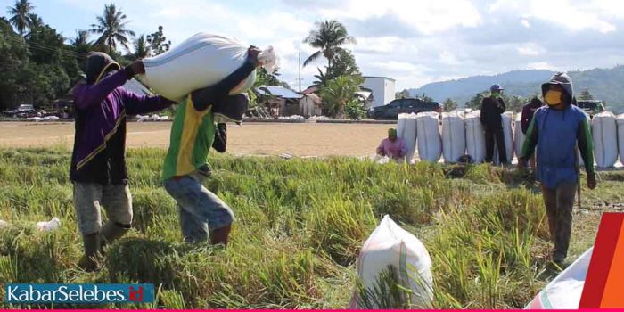 HPA Sigi Imbau Pemda Cek Ketersediaan Pangan di Tengah Corona Menjelang Puasa