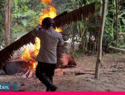 Video : Pergoki Sedang Produksi Miras, Pabrik Cap Tikus di Morowali Dibakar