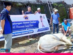 DPW Nasdem Sulteng Salurkan Daging Kurban Door to Door