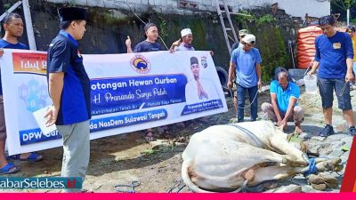 DPW Nasdem Sulteng Salurkan Daging Kurban Door to Door