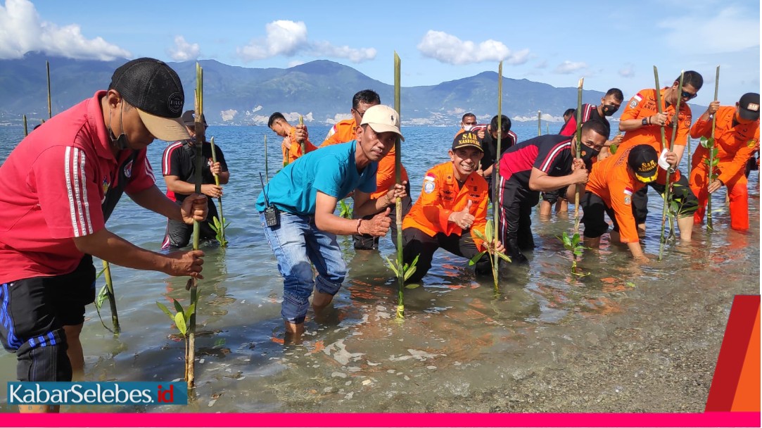 KEPALA Basarnas Palu, Andrias Hendrik Johannes (paling depan ketiga dari kiri) didampingi Lurah Layana Indah, Sudarman (pakai topi putih) melakukan penanaman mangrove di lokasi eks tsunami yakni pesisir Teluk Palu tepatnya di pantai Layana Indah, Kecamatan Mantikulore, Jumat (4/2/2022) pagi. (Foto: Ichal)