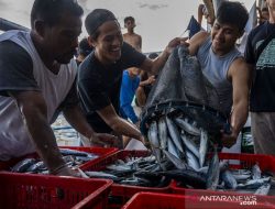 PPI Minta Pemprov Sulteng Tinjau Kembali Kerjasama Perikanan Kaltim