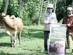 IMIP Sebar Qurban di Lingkar Kawasan