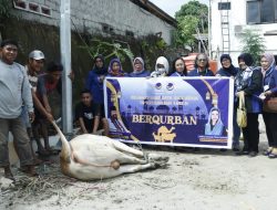 Garda dan Garnita NasDem Sulteng Bagikan Ratusan Paket Daging Kurban