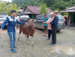 Sambut Idul Adha, PT. TDU Salurkan Bantuan 9 Ekor Hewan Kurban untuk Sejumlah Pihak