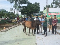 Idul Adha 1443 H, BKPRMI Palu akan Serahkan 150 Paket Qurban ke Guru TPA