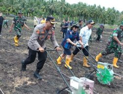 Sinergitas TNI Polri di Banggai Melalui Penanaman Jagung Perdana