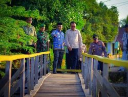 Tinjau Kondisi Jembatan Kayu di Baturube, Bupati Delis Minta Dinas PUPR Segera Buat Perencanaan Anggaran