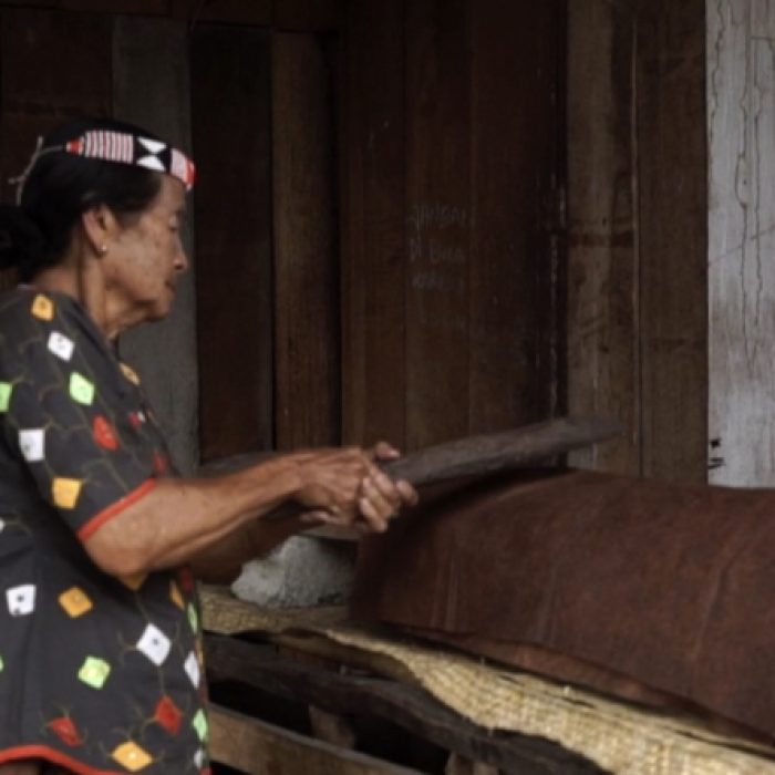 Dorong Transformasi Ekonomi berbasis alam, Kabupaten Sigi Menggelar Festival Lestari