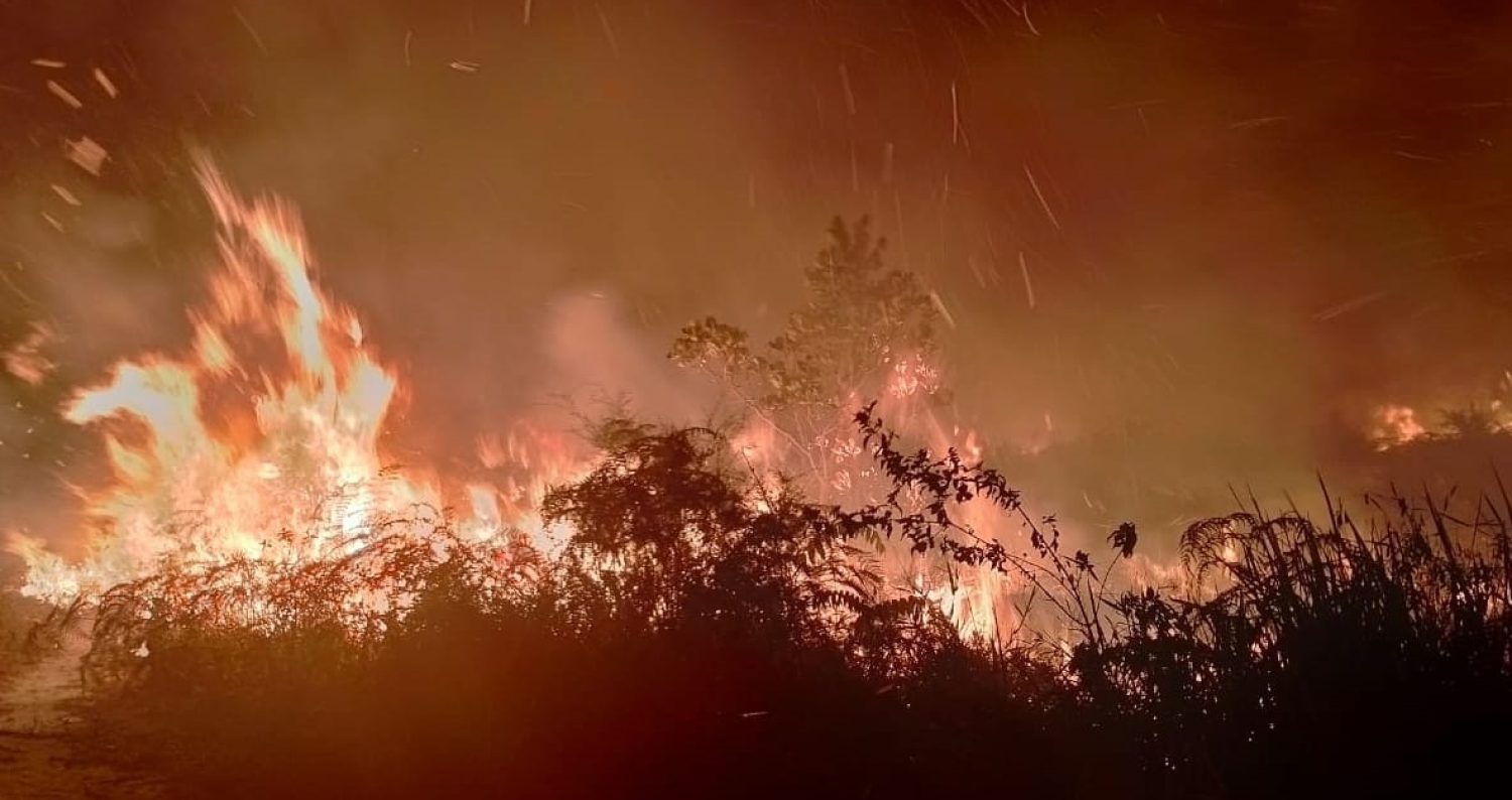 Karhutla  Melanda Desa Pasir Putih, Sulawesi Tengah Akibat Fenomena El Nino