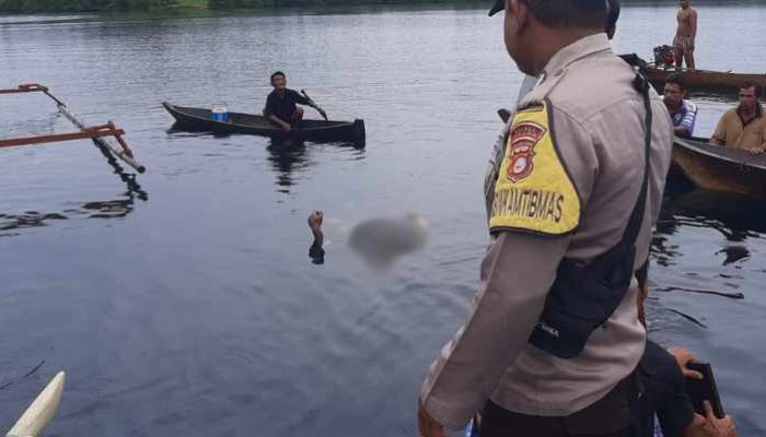 Pulang Menghadiri Pesta Pernikahan, Hamka Hamsa Tewas Diterkam Buaya di Togean