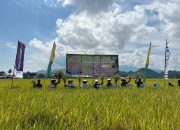 Gambar arsip: BPBD: Tidak Ada Korban Jiwa Akibat Banjir di Tiga Kabupaten di Sulbar