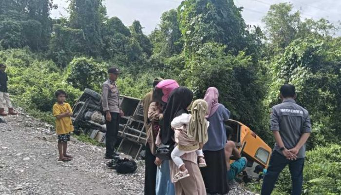 Bus Pengangkut Anak Sekolah di Banggai Masuk Jurang, 14 Pelajar Luka-luka